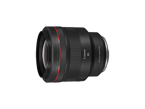 RF85mm F2 MACRO IS STM