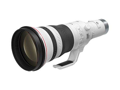 RF800mm F5.6 L IS USM